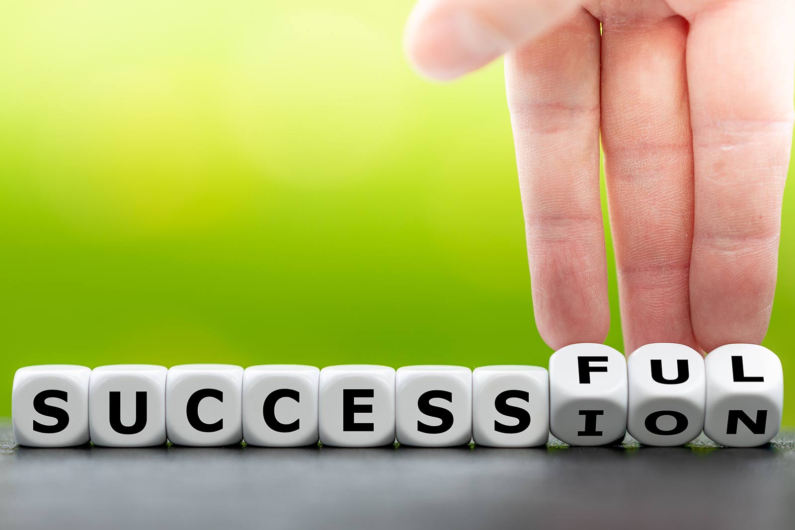 a succession planning guide to help family businesses position themselves for success